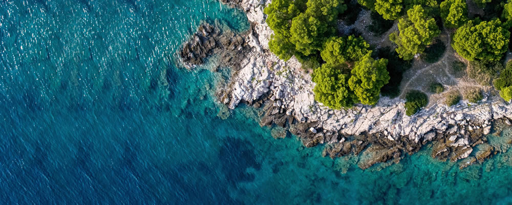 Nyugati Cégcsoport LLC